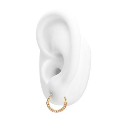 DORADO 12MM EXT. ARGOLLITA C/ 12 CUBIC FRENTE ABERTURA DERECHA NARIZ U OREJA PIERCING ARO