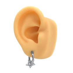 ESTRELLA PASANTE C/ CUBIC CIRCULARES EN ARGOLLA 15 MM ARO