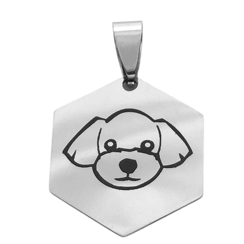 HEXAGONO PERRO CARA REDONDA SE PUEDE GRABAR REVERSO DIJE