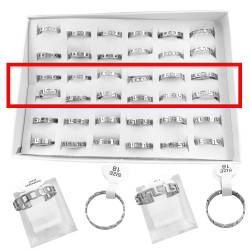 DOS CURVAS X12 UNIDADES GUARDA PAMPA Y CADENA PLANA ANILLO