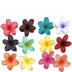 PACK X12 SETS BROCHES DE...