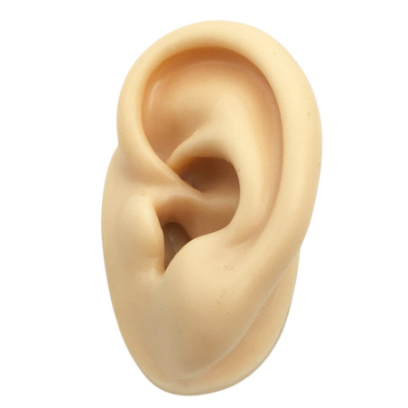 PIEL IZQUIERDA OREJA DE SILICONA