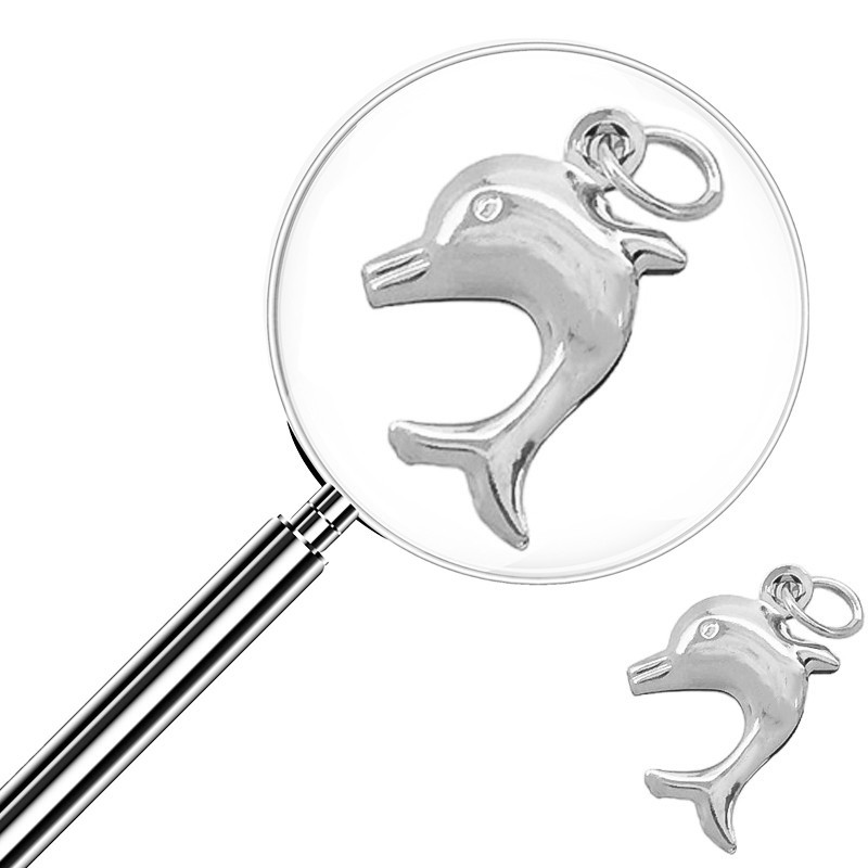 DELFIN C/ ARGOLLITA MINI DIJE