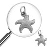 ESTRELLA DE MAR 3D C/ ARGOLLITA MINI DIJE