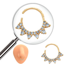 DORADO SEPTUM SEIS...