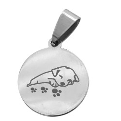 PERRO DURMIENDO EN CIRCULO...