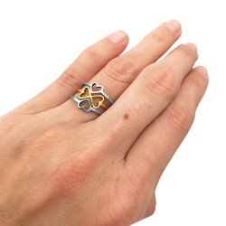 CURVA X6 ANILLOS TREBOL CORAZON DIVISIBLE ANILLO