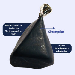 SHUNGUITA PIEDRA NATURAL DIJE