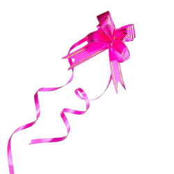 FUCSIA C/ DORADO 17*340MM...