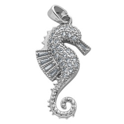 HIPOCAMPO CABALLITO DE MAR...