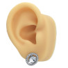 BLISTER X12 PARES PURO STRASS Y CUBIC CORAZON DOBLE - CIRCULO - CORAZON AROS